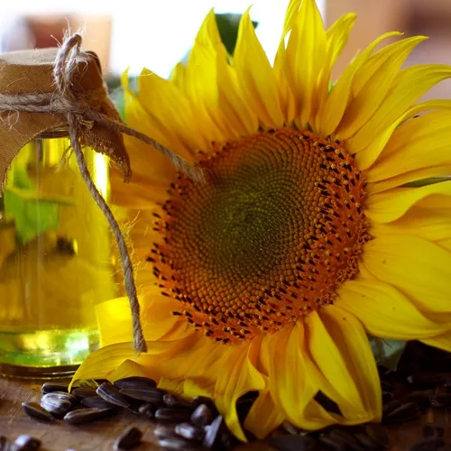 Organic Sunflower Oil